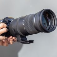 Sigma 150-600mm F5-6.3 DG DN OS ‘Sports’ lens field review
