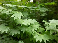 Sigma 24mm F2 DG DN 'Contemporary' initial sample gallery