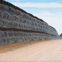 Slideshow: A bewildered roadrunner at the US—Mexico border took home the grand prize in this year’s Bird Photographer of the Year competition