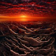 Slideshow: Australian Geographic Nature Photographer of the Year 2021 winners and finalists