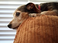 Canon EF-M 32mm F1.4 sample gallery