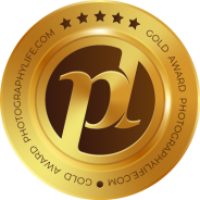 ASUS ProArt PA32UCG Monitor Review