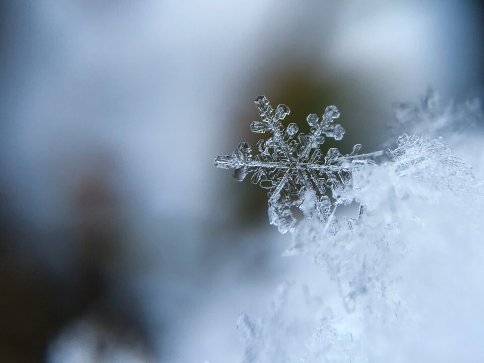 Focus Stacking #4