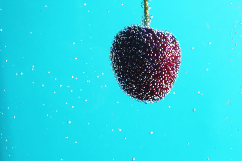 Focus Stacking #2