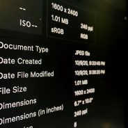 New IPTC metadata standards improve accessibility for visually impaired individuals