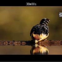 Nikon publishes second Z9 teaser, showing off the 8K video capabilities of its forthcoming mirrorless camera