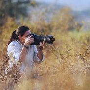 Nikon Z9 Announcement: The Peak of Nikon Mirrorless