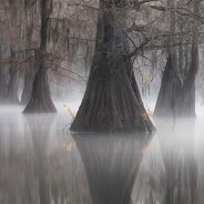 Slideshow: The incredible images that won the 2021 Epson International Pano Awards