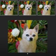 Sneak peek: Adobe’s new AI tech animates motion between multiple frames