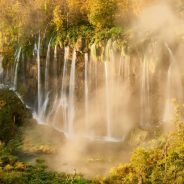 Sony A7 III vs Sony A7 IV