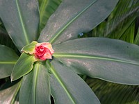 Sony a7 IV sample gallery