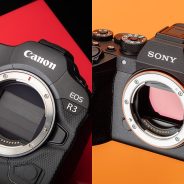 Sports shooters compared: the Canon EOS R3 versus the Sony a9 II
