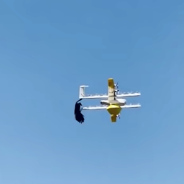 Video: An angry raven nearly takes down delivery drone