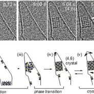 Video: First-ever look at crystals forming in real-time at atomic resolution
