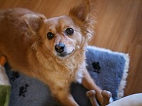 Panasonic Lumix DC-GH5 II sample gallery