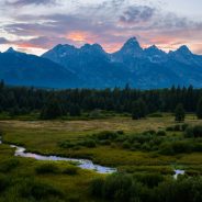 Current Nikon Lens Discounts, Rebates, and Sales