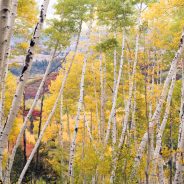 How to Make Your Tripod More Stable