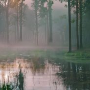 NVIDIA Research unveils GauGAN2, a new AI art demo that generates scarily-accurate images from text