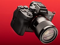 Sony a7 IV initial review