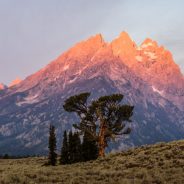 What Is Composition? A Photographer’s Guide