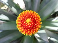 Canon EOS Rebel T7 sample gallery