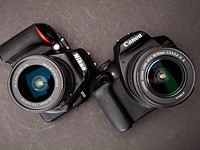 Nikon D3500 vs. Canon T7: Which is better?