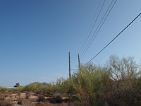 High End P&S versus Micro Four Thirds