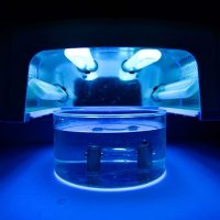 New optical fabrication method uses liquid polymer for faster & cheaper custom lenses