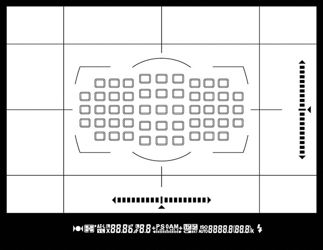 Nikon D810 Viewfinder