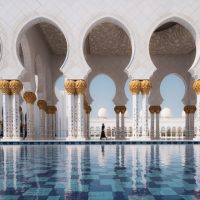 Which Tamron Lenses Should Nikon Z Prioritize?