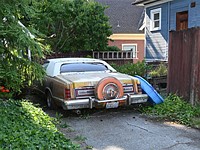 Updated: Nikon Z fc pre-production sample gallery