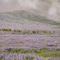 Living Within Your Dynamic Range