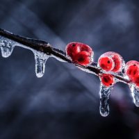 Solving the Problems of Photography in Very Cold Temperatures