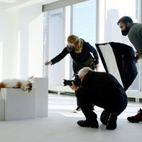 Video: Watch how a Nat Geo wildlife photographer selects his best image from a photoshoot