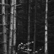 Behind the Composition: Amongst the Dead