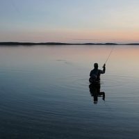 OM System OM-1: An adventurous camera and the right tool for the job