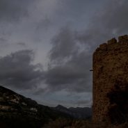 [OT] Quo vadis camera industry ?