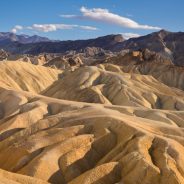 What Camera Lens Should I Buy? A Beginner’s Guide