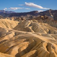 What Camera Lens Should I Buy? A Beginner’s Guide