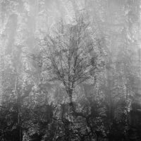 Behind the Composition – The Catalyst