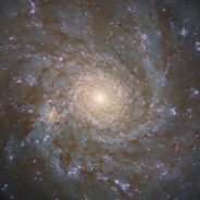 Hubble captures a beautiful image of the spiral galaxy NGC 4571