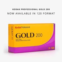 Kodak is reviving Kodak Gold 200 for medium format cameras