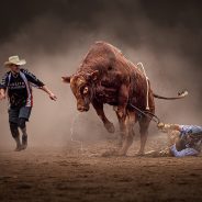 Slideshow: Winners and Shortlist for the 2022 Sony World Photography Awards Open Competition