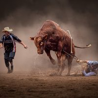 Slideshow: Winners and Shortlist for the 2022 Sony World Photography Awards Open Competition