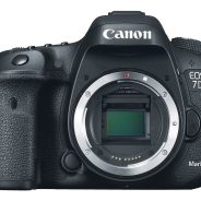 Weekly News: Nikon Sales, Canon Mirrorless Rumors & More