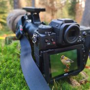 Weekly Sales: Godox Flashes, Sony a7R III, Sigma Lenses