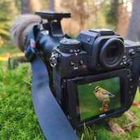 Weekly Sales: Godox Flashes, Sony a7R III, Sigma Lenses